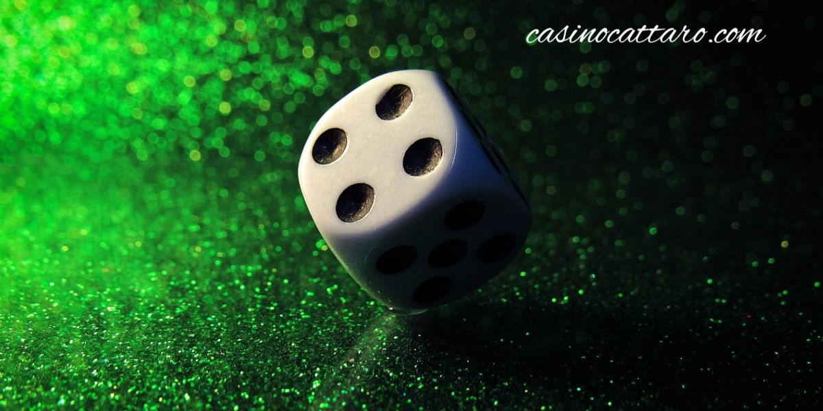 casinocattaro.com